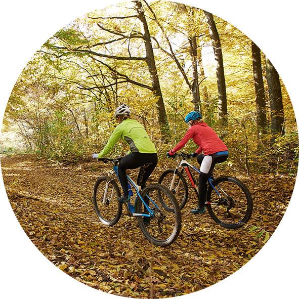 Wypożyczalnia rowerów
